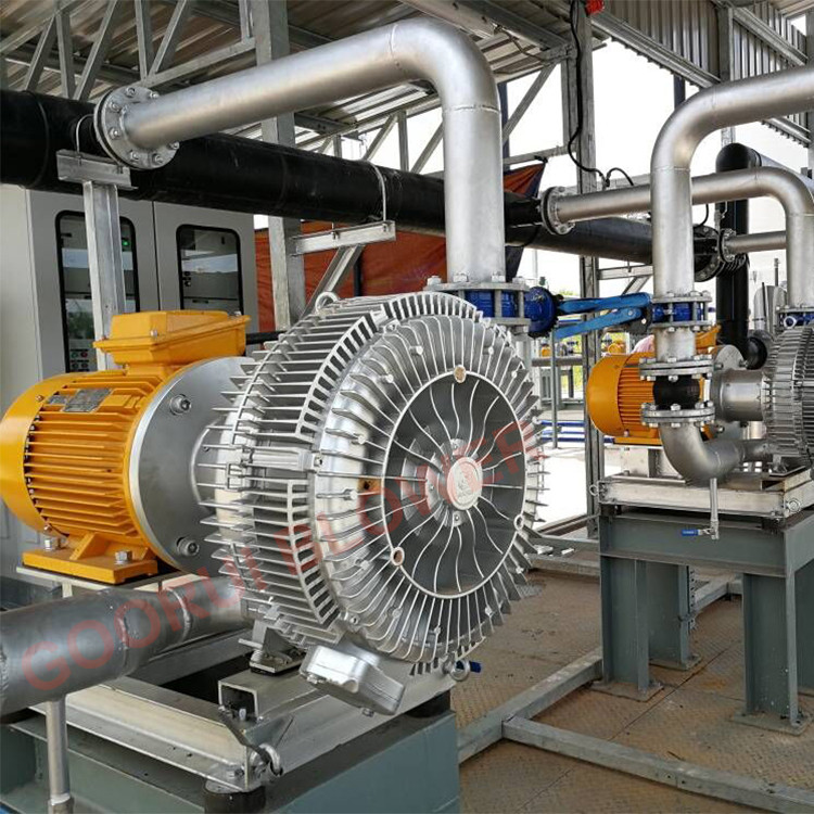 ATEX Biogas side channel blower