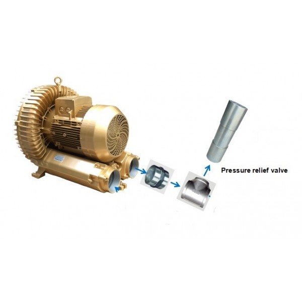 GOORUI Pressure / Vacuum Relief Valve